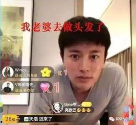 娱乐圈吃瓜贾乃亮是谁,娱乐圈吃瓜群众心中的焦点人物  第2张