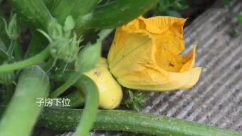 网上吃瓜群可靠吗  第2张