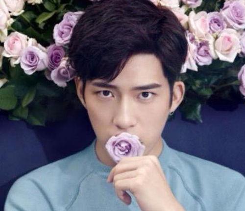 娱乐圈吃瓜明星代号田字格,揭秘明星背后的神秘面纱 第2张 娱乐圈吃瓜明星代号田字格,揭秘明星背后的神秘面纱 第2张